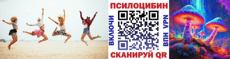 Галлюциногенные грибы Psilocybe  закладки  Курганинск 