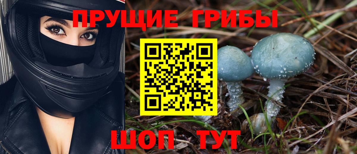 Псилоцибиновые грибы мицелий Курганинск